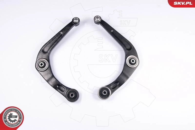 Repair Kit, control arm